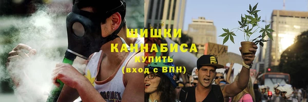 прущие грибы Магадан