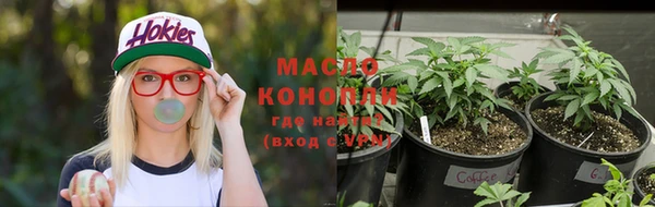 прущие грибы Магадан