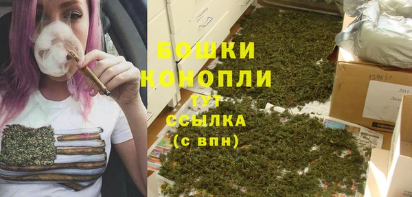 a pvp Магас