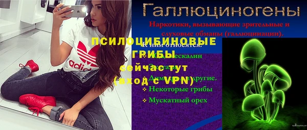 a pvp Магас
