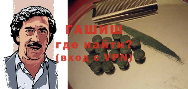 мдпв Инсар