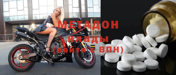 прущие грибы Магадан