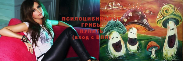 СК Майский